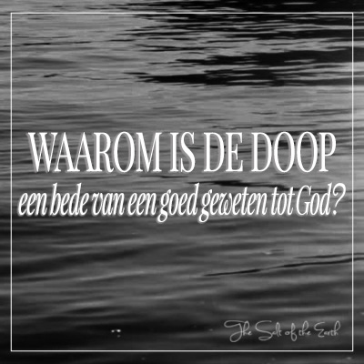 Waarom is de doop een bede van een goed geweten tot God?