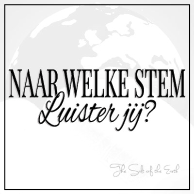 Naar welke stem luister jij