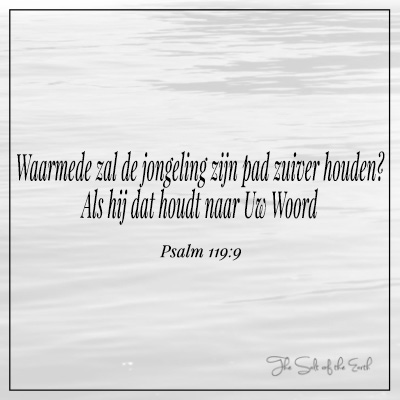 bijbeltekst psalm 119-9 Waarmede zal jongeling zijn pad rein bewaren