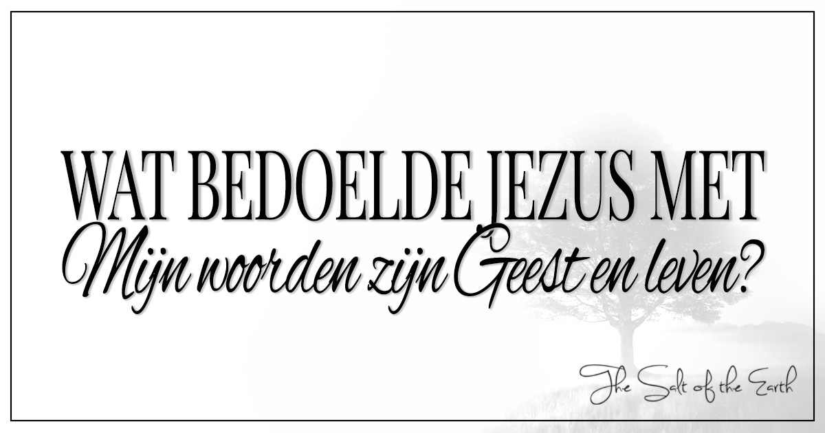 Wat bedoelde Jezus met Mijn Woorden zijn Geest en leven? | Salt of the