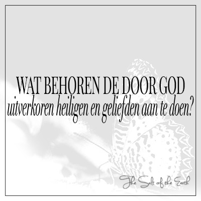 Wat behoren de door God uitverkoren heiligen en geliefden aan te doen? Kolossenzen 3:12