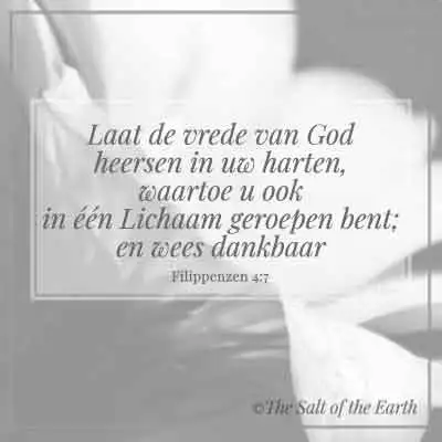 Bijbeltekst Filippenzen 4-7 laat de vrede van god heersen in uw harten waartoe u ook in een lichaam geroepen bent en wees dankbaar