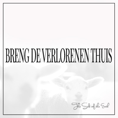 Breng de verlorenen thuis