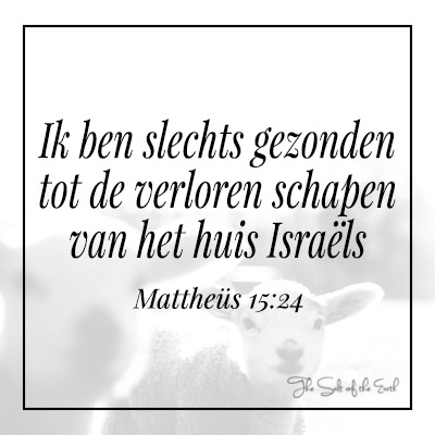 Ik ben gekomen tot de verloren schapen van het huis Israëls Mattheus 15:24