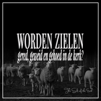 Worden zielen gered, geweid en gehoed in de kerk?