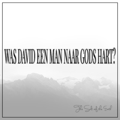 David een man naar Gods hart