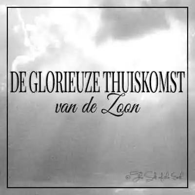 artikel titel de glorieuze thuiskomst van de zoon