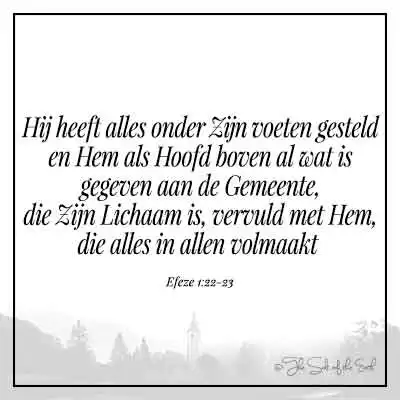 kerk en bijbeltekst efeze 1-22-23 hij heeft alles onder zijn voeten gesteld en hem als hoofd boven al wat is gegeven aan de gemeente die zijn lichaam is vervuld met hem die alles in allen volmaakt