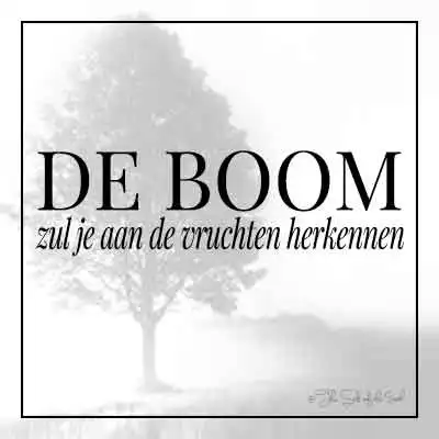 blog titel de boom zul je aan de vruchten herkennen