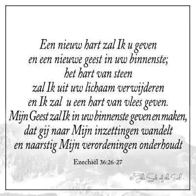 bijbelvers ezechiel 36-26-27 nieuw hart zal ik u geven en een nieuwe geest in uw binnenste het hart van steen zal ik uit uw lichaam verwijderen en ik zal u een hart van vlees geven mijn geest zal ik in uw binnenste geven en maken dat gij naar mijn inzettingen wandelt en naarstig mijn verordeningen onderhoudt
