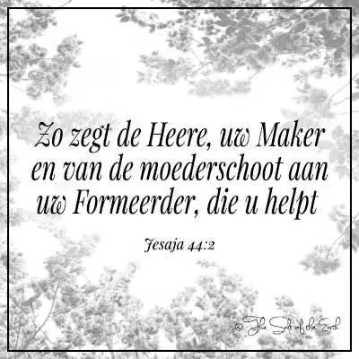 Bijbelvers Jesaja 44-2-zo zegt de heere uw maker en van de moederschoot uw formeerder, die u helpt