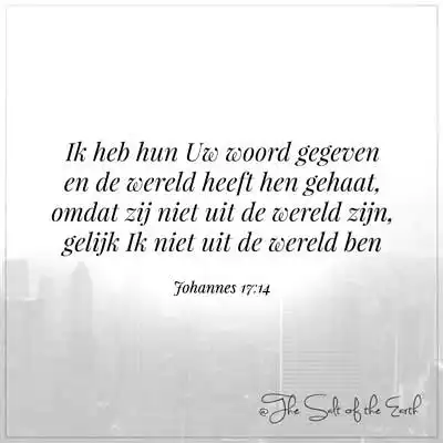 bijbeltekst johannes 17-14 ik heb hun uw woord gegeven en de wereld heeft hen gehaat omdat zij niet uit de wereld zijn gelijk ik niet uit de wereld ben