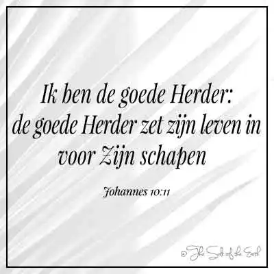 Bijbelvers johannes 10-11-ik ben de goede herder zet zijn leven in voor Zijn schapen