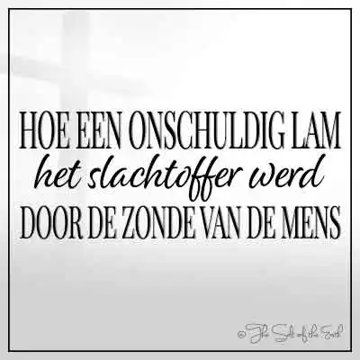 Blog titel hoe een onschuldig lam het slachtoffer werd door de zonde van de mens