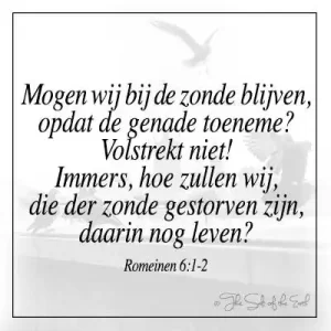 Bijbelvers romeinen 6-1-2 mogen wij bij de zonde blijven opdat de genade toeneemt volstrekt niet immers hoe zullen wij die der zonde gestorven zijn daarin nog leven