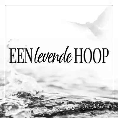 Artikel titel tekst een levende hoop